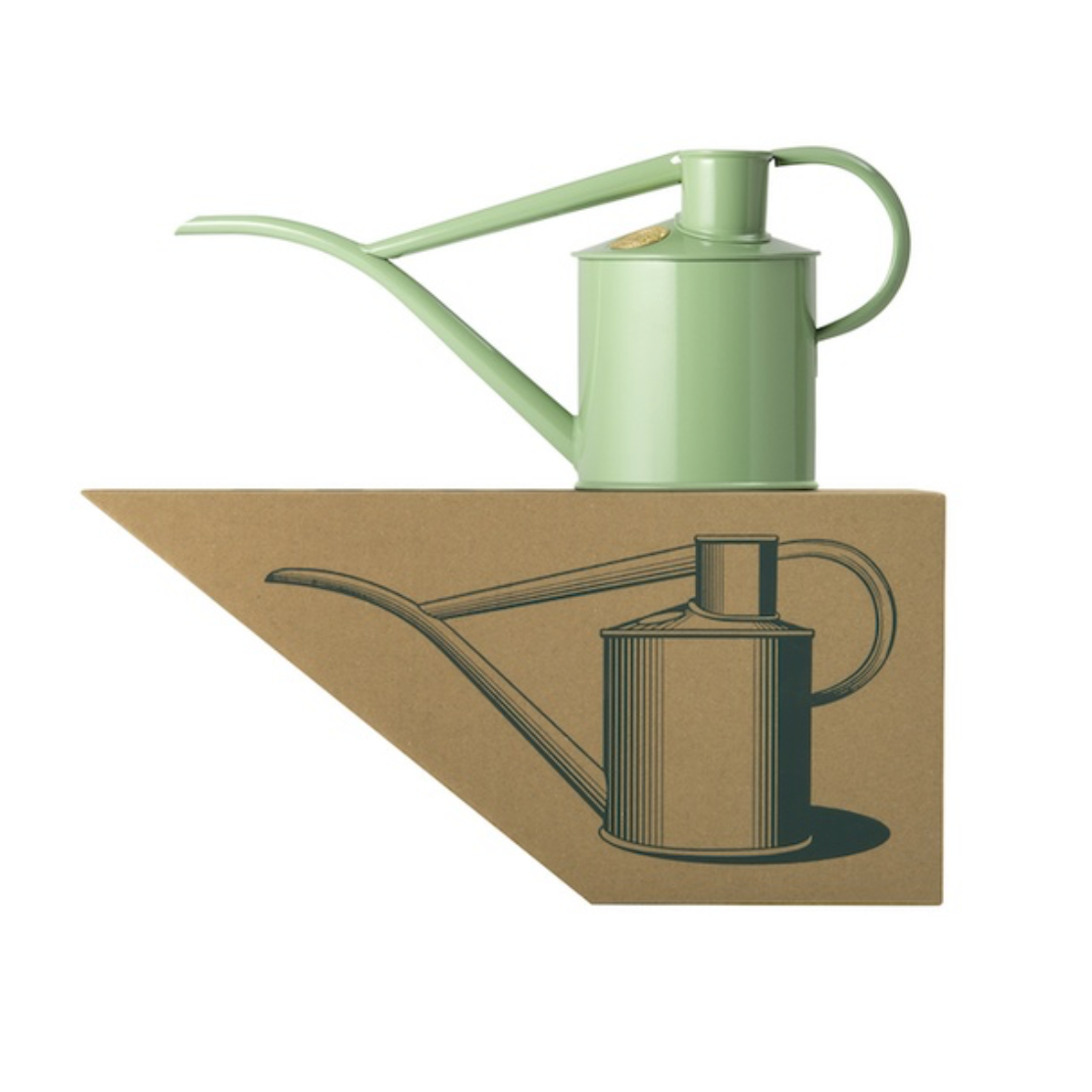 A sage green metal watering can with a long spout and curved handle, displayed on top of a brown cardboard box that features a line drawing of the same watering can.