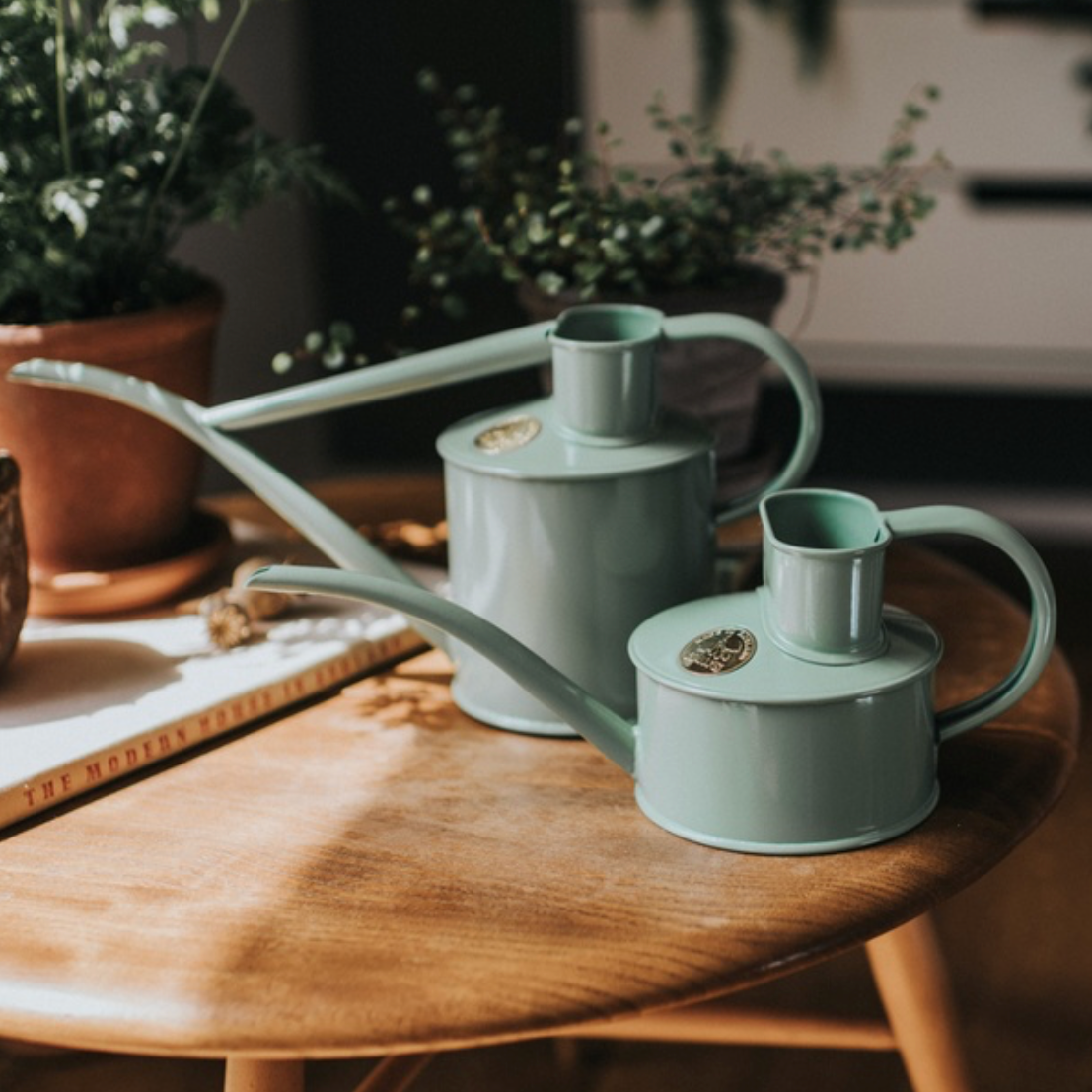 Two matte sage green metal watering cans with long spouts and handles, displayed on a round wooden table in a cozy indoor setting with potted plants.