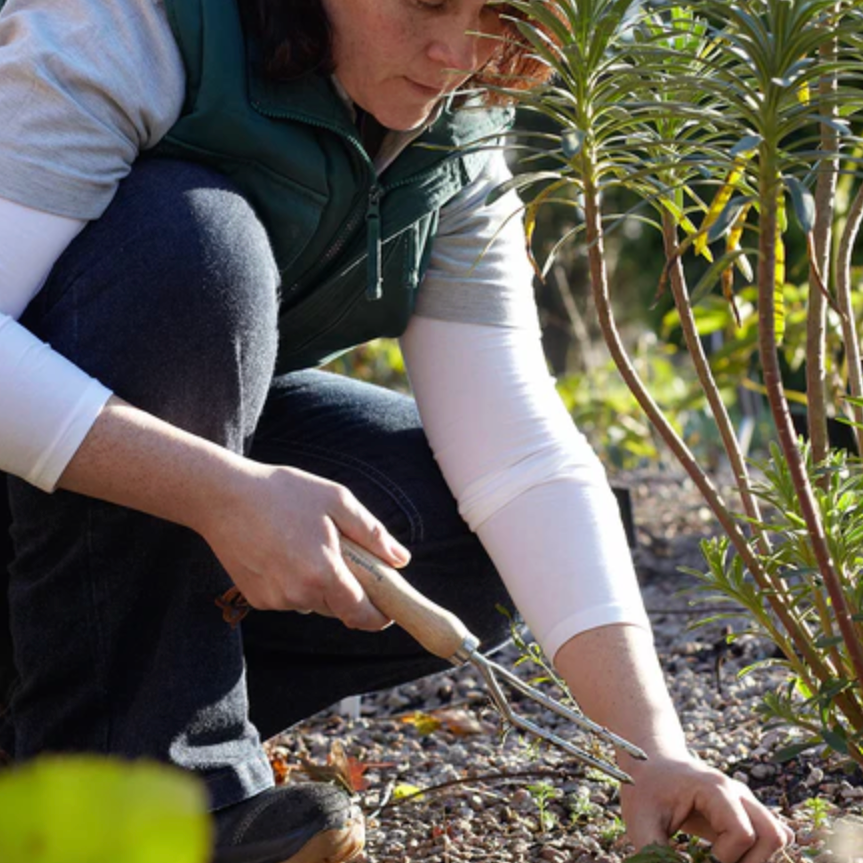 Stainless Weeding Fork