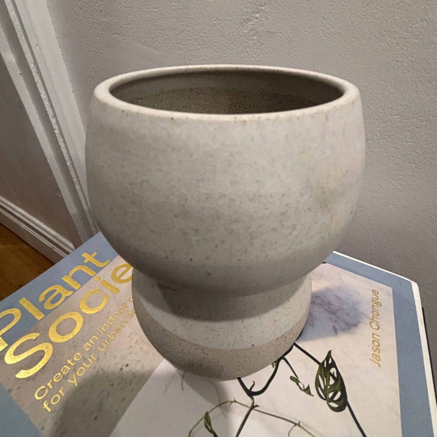 A light white/grey speckled ceramic planter pot with a flared base, resting on a book titled "Plant Society" against a textured gray wall.