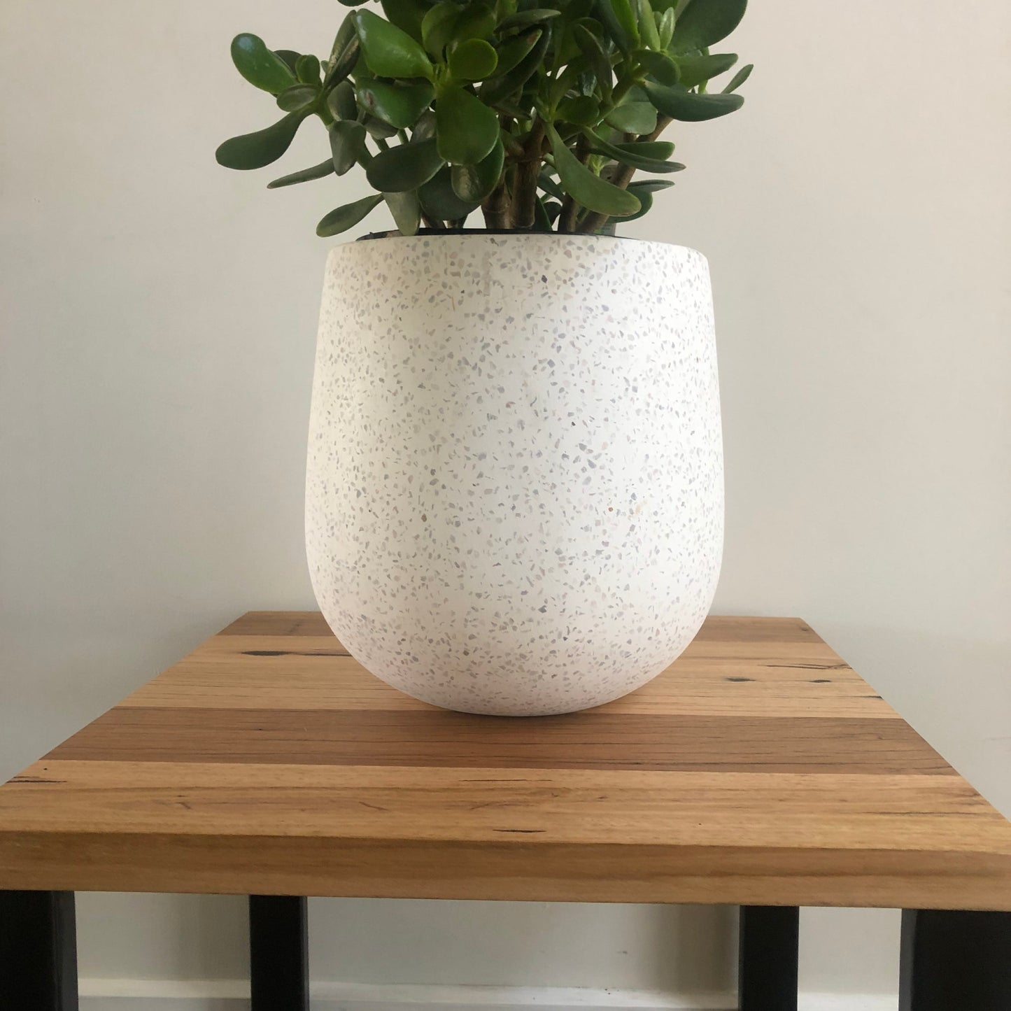 White speckled planter with a plant on a wooden table against a plain wall