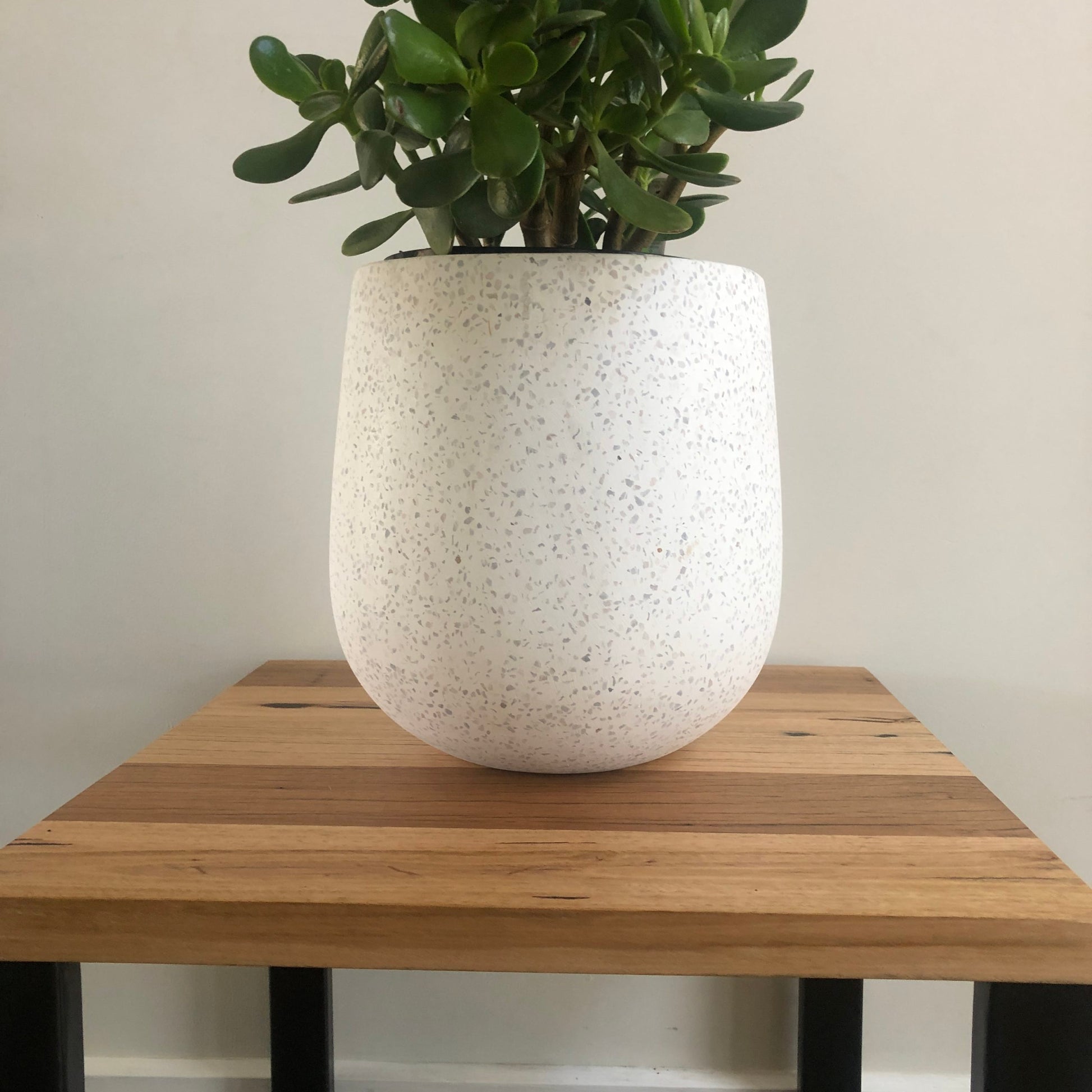White speckled planter with a plant on a wooden table against a plain wall