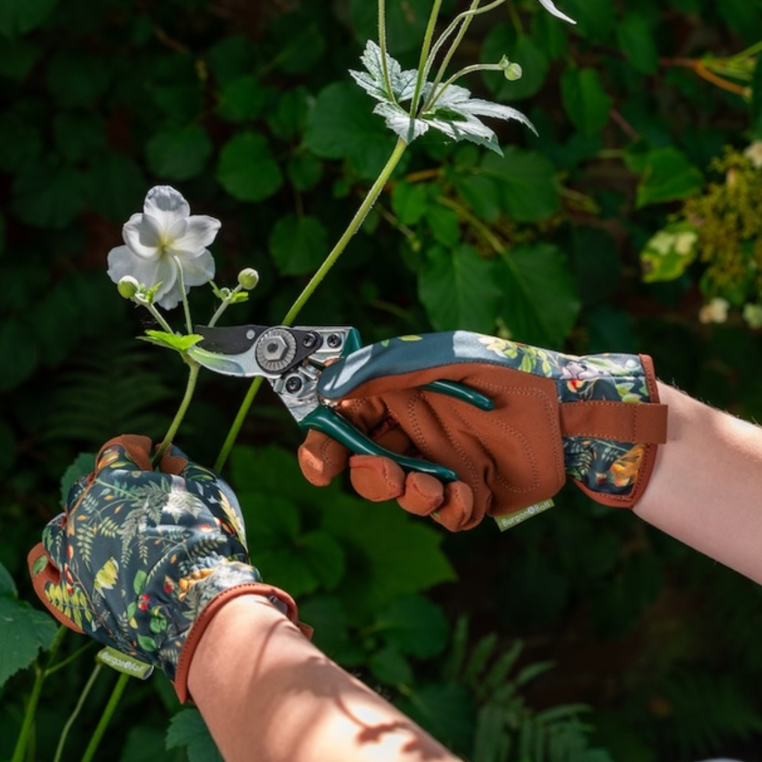 RHS Woodland Wonders Gloves