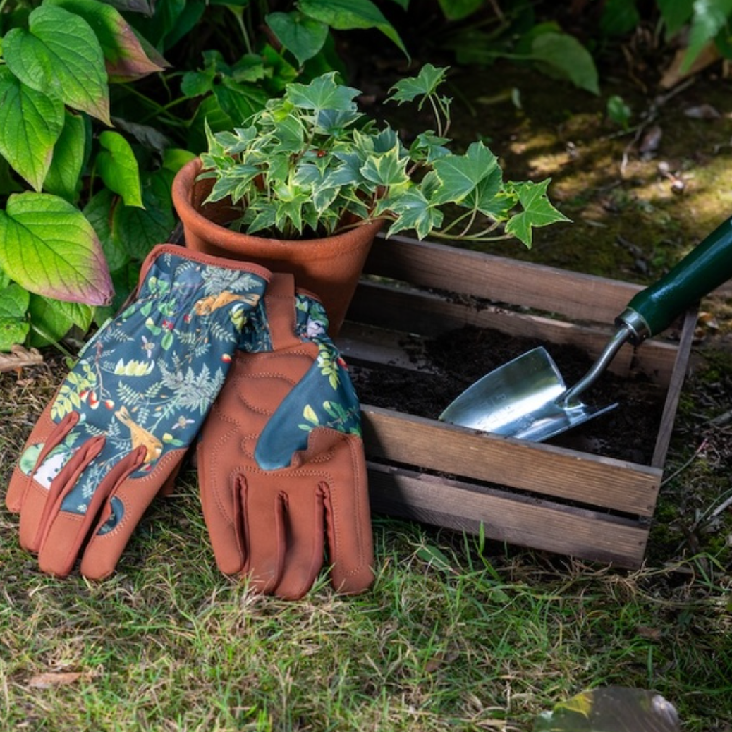 RHS Woodland Wonders Gloves