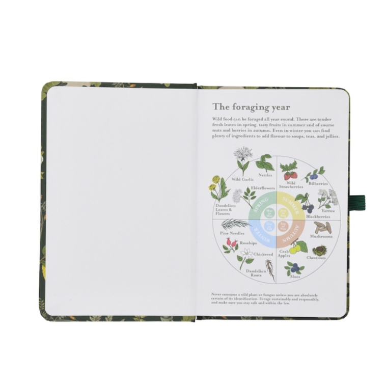 Open book showing a foraging chart with illustrations of plants and animals on a white background