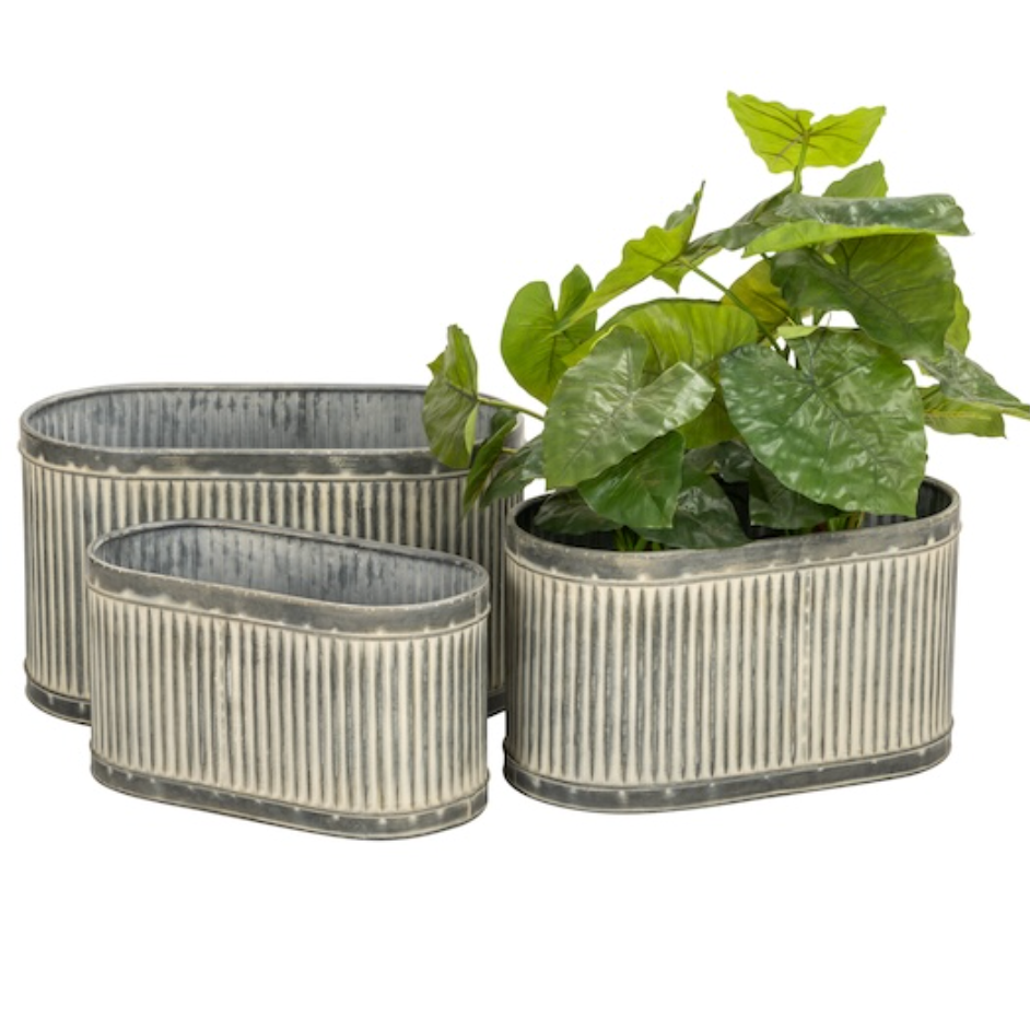 Three ribbed metal planters in oval and elongated shapes, shown with a green leafy plant on a plain white background.