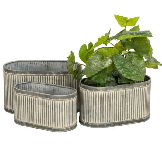 Three ribbed metal planters in oval and elongated shapes, shown with a green leafy plant on a plain white background.
