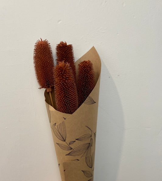 Natural Dry Thistle Branch Flower Stem - Brown/Orange