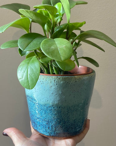 Rustic blue petite planter