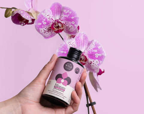 Bloom Concentrate 150ml by We The Wild