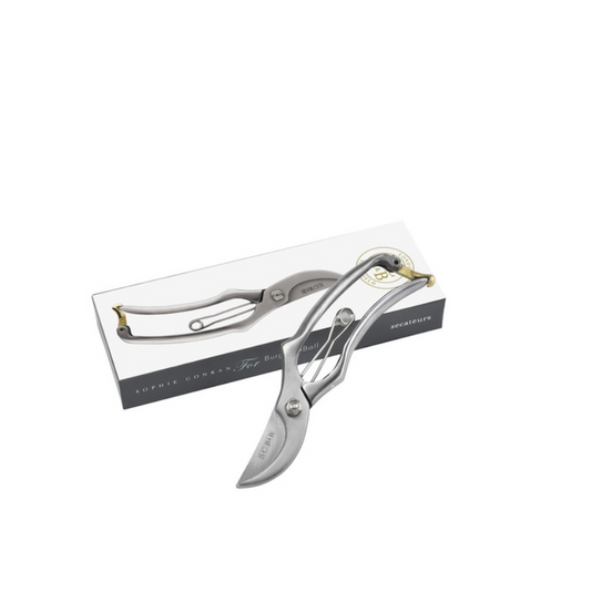 Shears with packaging on a white background