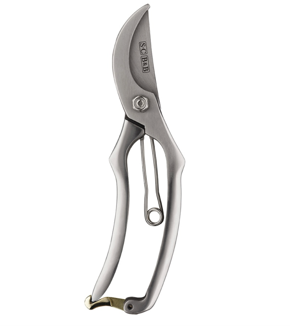 Metal pruning shears on a white background