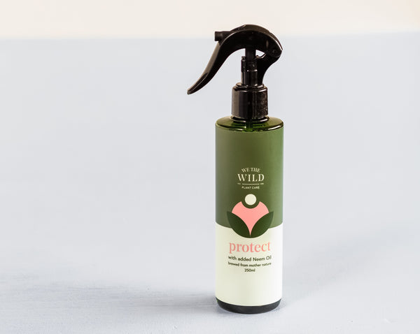 Protect Spray by We The Wild