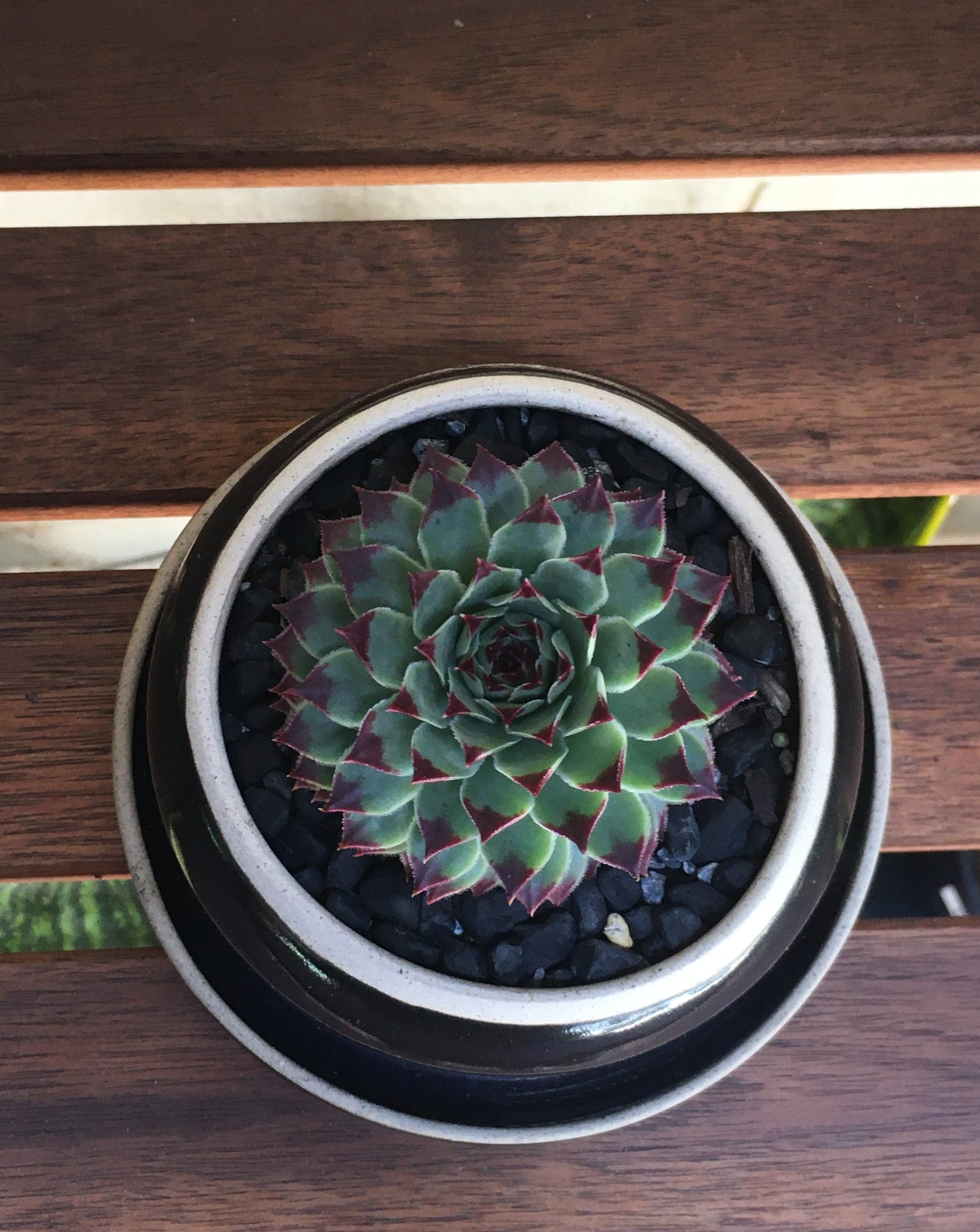 Ceramic baby planter #15