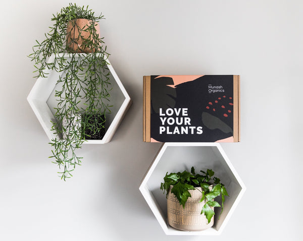 Love Your Plants Gift Box