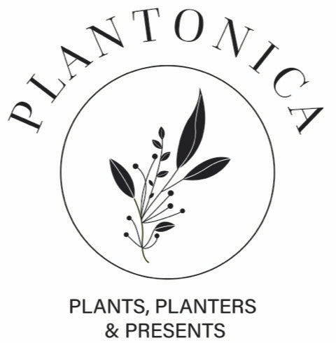 Plantonica Gift Card