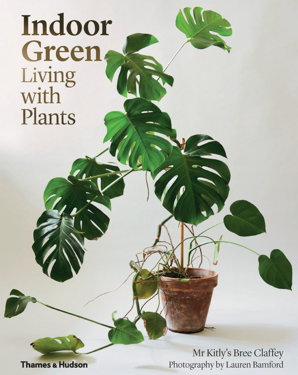 Indoor Green Living with Plants