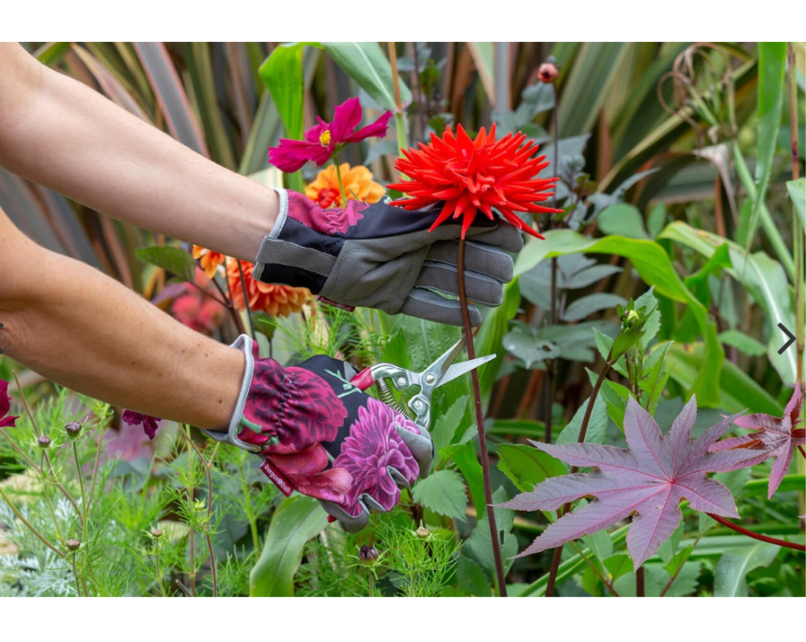 British Bloom Pruner & Holster Set