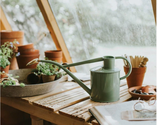 Classic Watering Set - Sage & Brass