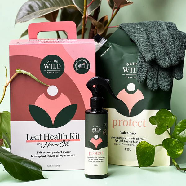 Leaf Health Kit by We The Wild