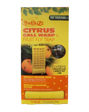The Buzz Citrus Gall Wasp + Fruit Fly Insect Trap