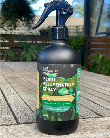 Plant Rejuvenation Spray