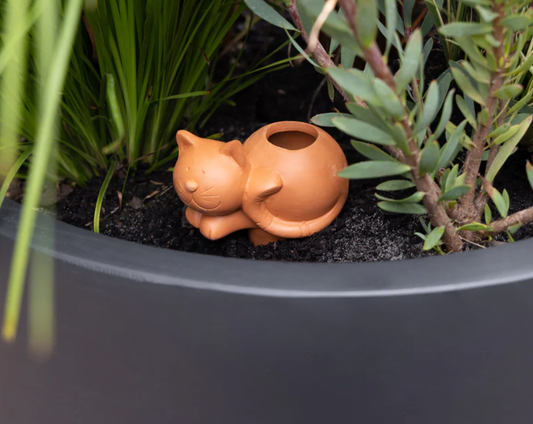 Terracotta Self Watering Cat