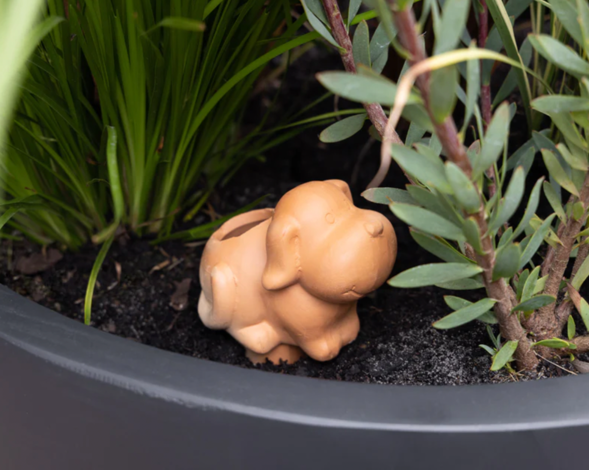 Terracotta Self Watering Dog