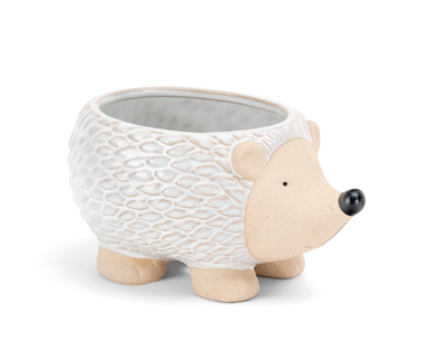 Echidna Planter