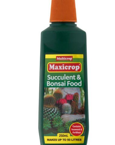 Maxicrop Succulent & Bonsai Food - 250ml Concentrate
