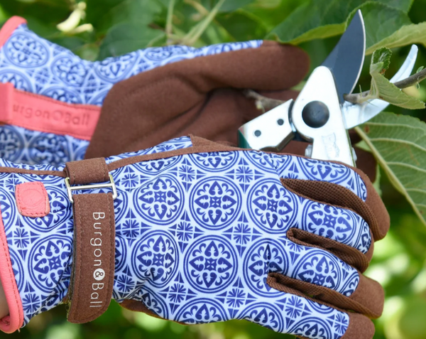Love the Glove Women's Gloves - Artisan