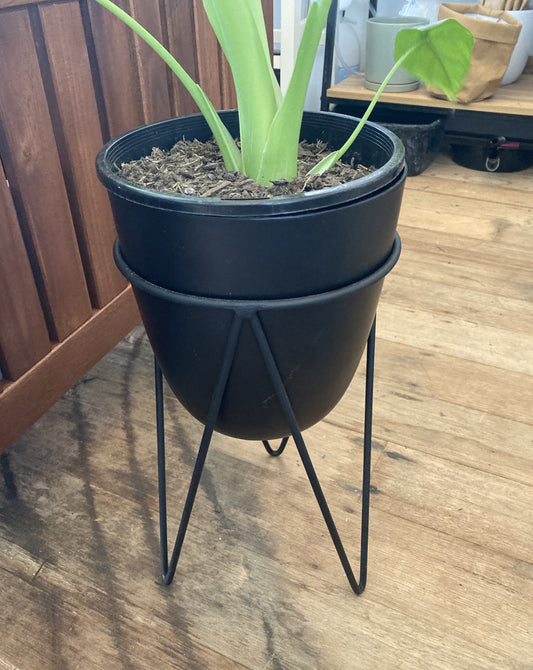 Black Metal Planter V stands