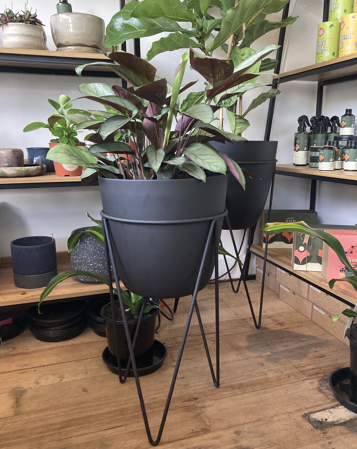 Black Metal Planter V stands