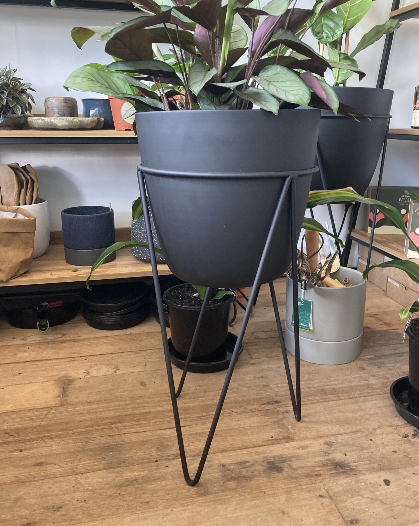 Black Metal Planter V stands