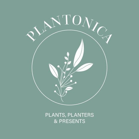 Plantonica Gift Card