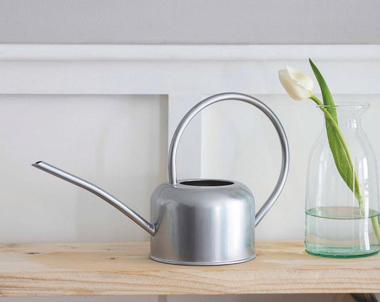 Indoor Watering Can